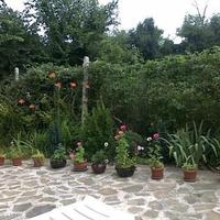 Отель (гостиница) в Болгарии, Елхово