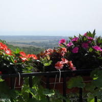 Дом в Болгарии, Варненская область, Елените, 72 кв.м.