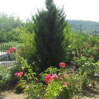 Дом в Болгарии, Варненская область, Елените, 72 кв.м.