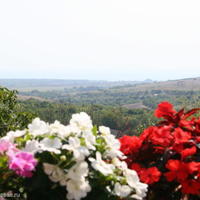 Дом в Болгарии, Варненская область, Елените, 72 кв.м.