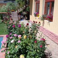 House in Bulgaria, Dobrich region, Elenite