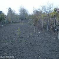 House in Bulgaria, Padina