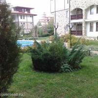 Квартира в Болгарии, Бургасская область, Елените