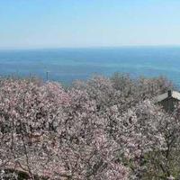 House in Bulgaria, Varna region, Elenite, 200 sq.m.