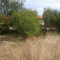 House in Bulgaria, Varna region, Elenite