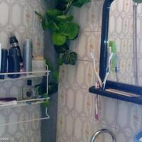 Квартира в Болгарии, Добричская область, Елените