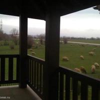 House in Bulgaria, Blagoevgrad region, Elenite, 118 sq.m.