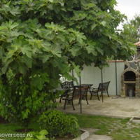 Апартаменты в Болгарии, Бургасская область, Елените