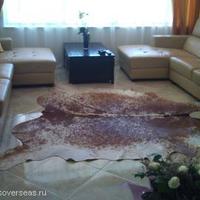 Дом в Болгарии, Елхово, 260 кв.м.