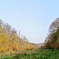 Land plot in Bulgaria, Varna region