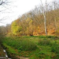 Land plot in Bulgaria, Varna region