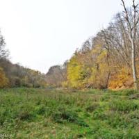 Land plot in Bulgaria, Varna region