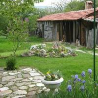House in Bulgaria, Padina