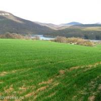 Land plot in Bulgaria, Varna region, Elenite