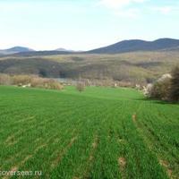 Land plot in Bulgaria, Varna region, Elenite