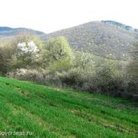Land plot in Bulgaria, Varna region, Elenite
