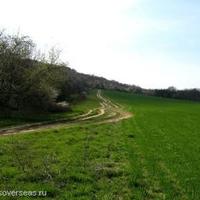 Land plot in Bulgaria, Varna region, Elenite