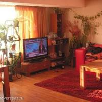 Дом в Болгарии, Варненская область, Елените