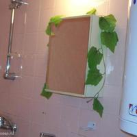 Квартира в Болгарии, Варненская область, Елените, 87 кв.м.