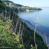 Land plot in Bulgaria, Varna region, Elenite