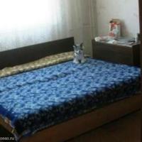 Flat in Bulgaria, Varna region, Elenite, 81 sq.m.