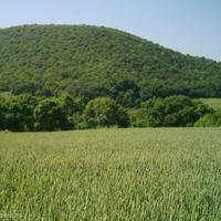 Land plot in Bulgaria, Elkhovo