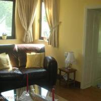 House in Bulgaria, Dobrich region, Elenite