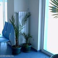 Другая коммерческая недвижимость в Болгарии, Бургасская область, Елените