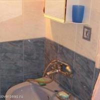 House in Bulgaria, Dobrich region, Elenite