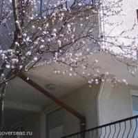 Вилла в Болгарии, Добричская область, Елените