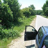 Land plot in Bulgaria, Burgas Province, Elenite