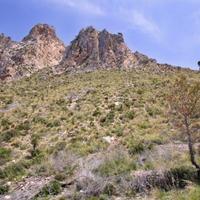 Вилла в Испании, Балеарские Острова, Пальма, 800 кв.м.