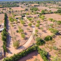 Вилла в Испании, Балеарские Острова, Пальма, 350 кв.м.