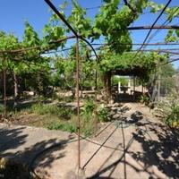 Вилла в Испании, Балеарские Острова, Пальма, 1500 кв.м.