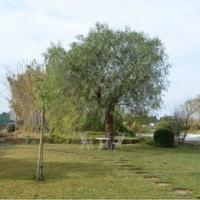 Вилла в Испании, Балеарские Острова, Пальма, 240 кв.м.