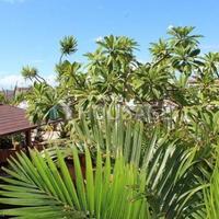 Вилла в Испании, Канарские Острова, Санта-Крус-де-Тенерифе, 300 кв.м.