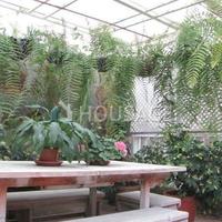 Villa in Spain, Canary Islands, Santa Cruz de Tenerife, 247 sq.m.