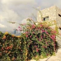 Вилла в Испании, Канарские Острова, Санта-Крус-де-Тенерифе, 180 кв.м.