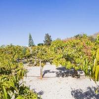 Вилла в Испании, Канарские Острова, Санта-Крус-де-Тенерифе, 482 кв.м.