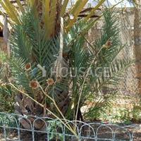 Вилла в Испании, Канарские Острова, Санта-Крус-де-Тенерифе, 200 кв.м.