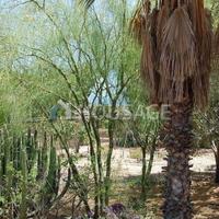 Вилла в Испании, Канарские Острова, Санта-Крус-де-Тенерифе, 200 кв.м.