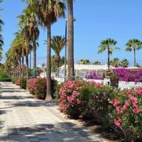 Villa in Spain, Canary Islands, Santa Cruz de Tenerife, 200 sq.m.