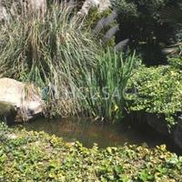 Вилла в Испании, Каталония, Багур, 465 кв.м.