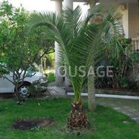 Вилла в Испании, Каталония, Жирона, 300 кв.м.