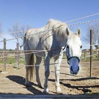 Дом в Испании, Балеарские Острова, Пальма, 348 кв.м.
