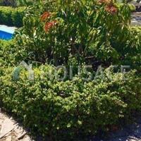 Вилла в Испании, Канарские Острова, Санта-Крус-де-Тенерифе