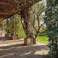 Дом в Испании, Балеарские Острова, Пальма, 490 кв.м.