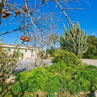 Дом в Испании, Балеарские Острова, Пальма, 3000 кв.м.