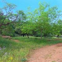 House in Spain, Balearic Islands, Palma, 650 sq.m.