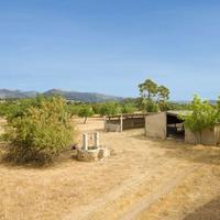 House in Spain, Balearic Islands, Palma, 6000 sq.m.